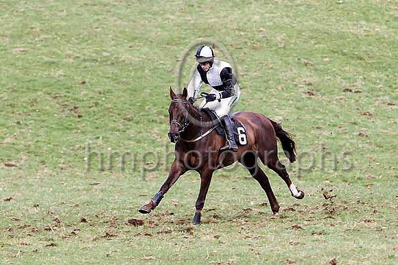Third Race - Ballycassel 5th Div 1, jockey Derek O'Connor - CU2D7077-e