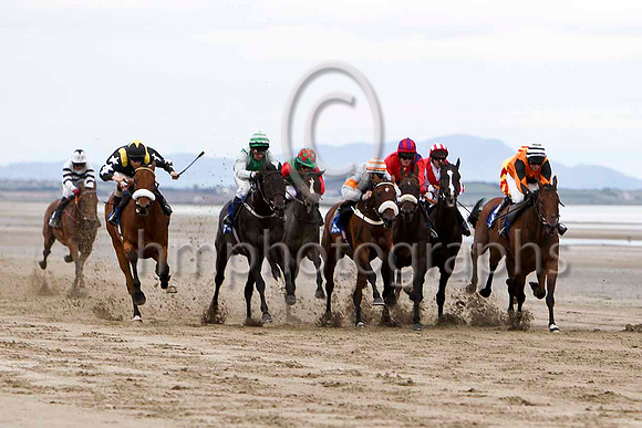 Racing on the beach at Laytown  - FT8E4136-e