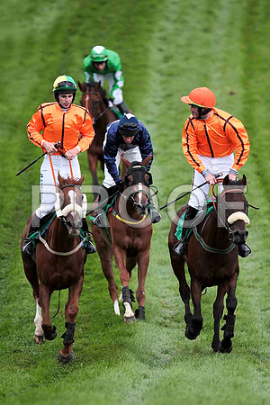 Tarwiyna - 9th, Rowanville Lady - 6th, SallyMay - 7th & Failed the Test - 5th - CU2D9501-e