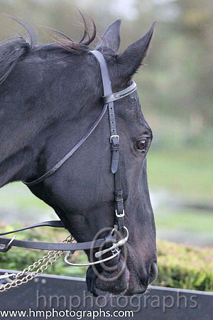 02 Kilcommon Pride & M Darcy - 2nd (8, emerald green , red star)FT8E0438-Edit-33