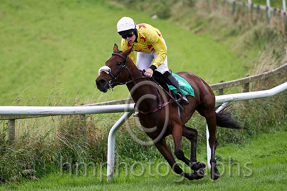 Brer Rabbit , Jockey S E Butler in the lead - Fell - CU2D2258-e