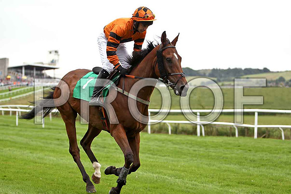 Unico , Fell, Jockey A P Thornton - CU2D0885-e