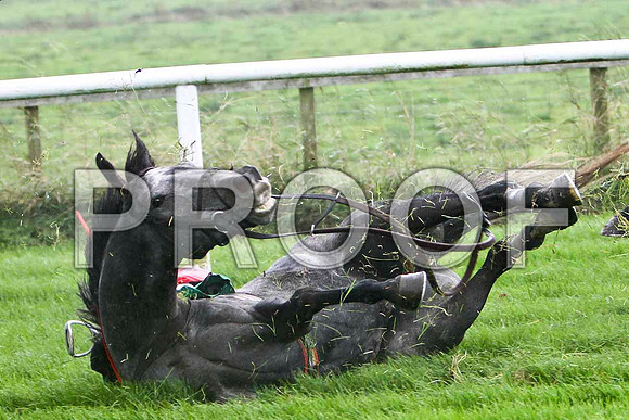Jack Bene , Fell - Jockey P T Enright - FT8E5221-e