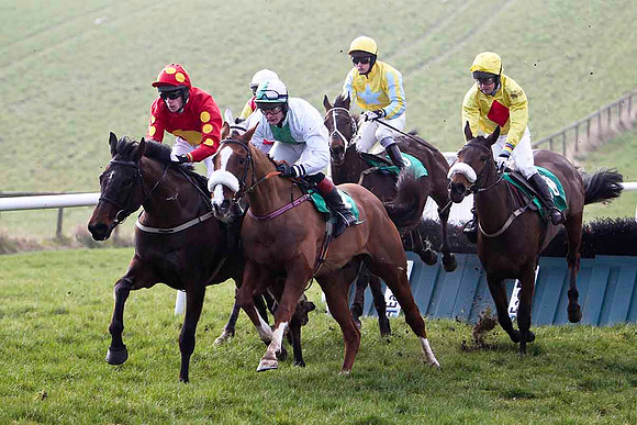 Shantalla - 7th , Ounaja - 5th, Couleur de La Loi - 8th , Mister Jim Jim 9th & - Killegney - 6th -FT8E0422-e