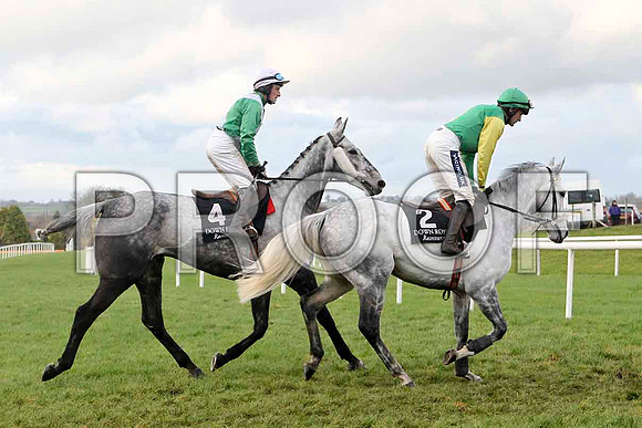 Havagoodsip , Jockey P W Flood - 4th & Corrock Bridge , Jockey Ruby Walsh - Fell - FT8E4876-e