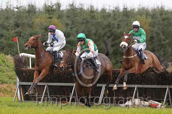 11 Seacon Beg & W Thompson - PU (14, white, blue panel), 10 Go Conquer & B O'Neill - Fell (4, emerald green, orange spots) & 06 OneHellOfANiceGuy & David Joseph O'Leary - 6th (13, emerald green, white