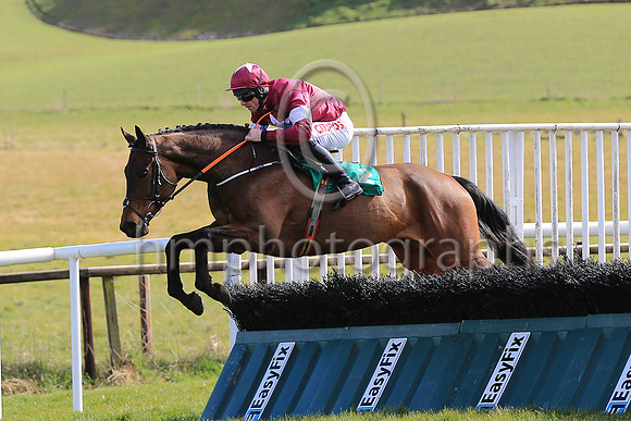 01st Game Of War and D N Russell ( 2 , maroon, white star ) Trainer - H de Bromhead , Owner - Gigginstown House Stud