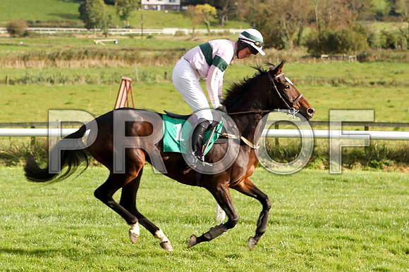 Minnie wise , Jockey Mr J E Burns - Fell - FT8E4415-e