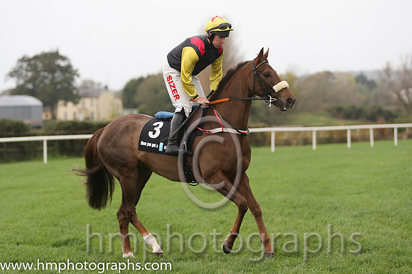 04 King of the Picts and A E Lynch - - 04th (3 ,black, red epaulettes ) Trainer - J P Shanahan