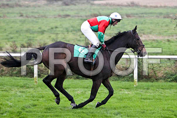 Macra Na Feirme , 3rd - Jockey J L Culllen - FT8E5449-e