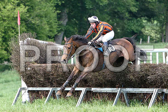 Fifth Race Div 2 - Alabama Baby (10) winner, Rider B F Brabazon - CU2D9725-e