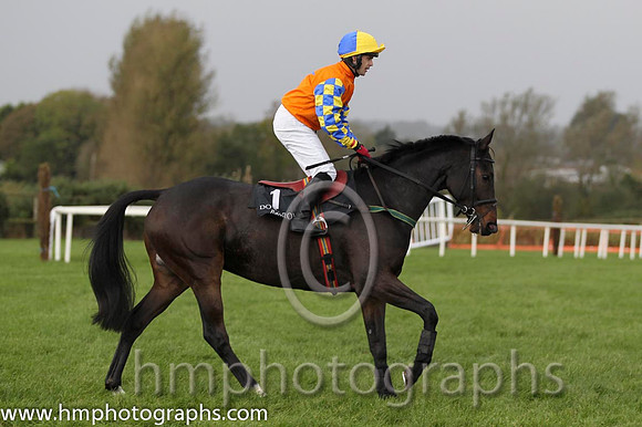 01 Gilt Shadow & Mr S Crawford - winner (1, orange, royal blue star) - FT8E0259-76
