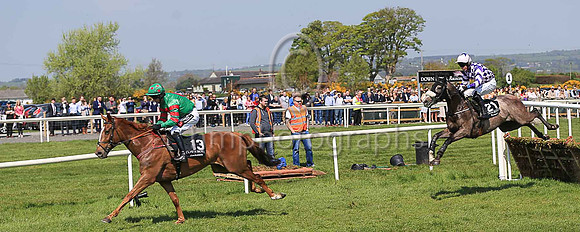 13th Invincible Zeb and Reserve 1 ( 21 , purple and pink check ) Trainer - Miss C Cannon , Owner - David Aiken