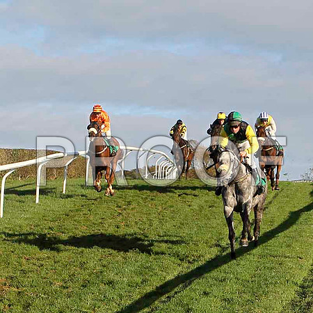 Burnt Oil Babe , Jockey M B Cash - Winner - FT8E4446-e