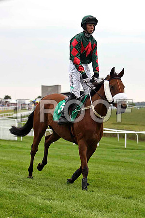 Katcarhue 13th, Jockey C O'Farrell- CU2D0908-e2