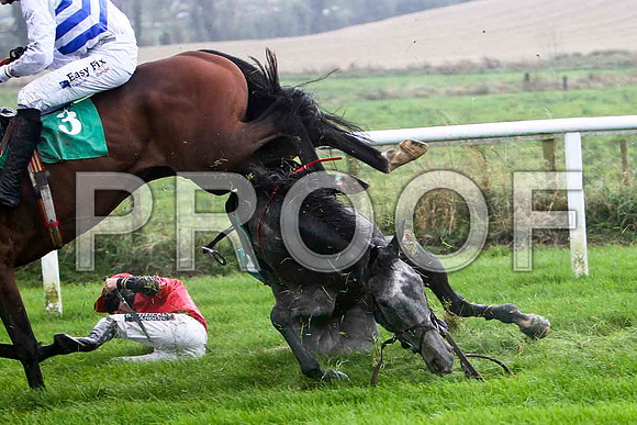Jack Bene , Fell - Jockey P T Enright - FT8E5219-e
