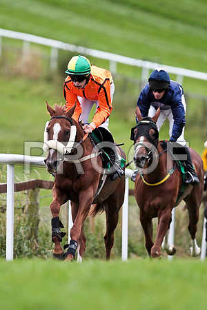 Tarwiyna - 9th , Jockey I J McCarthy & Sally May - 7th , Jockey P Carberry - CU2D9463-e