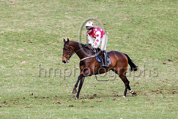 Third Race - DrumbleDore 3rd Div 1, jockey G B Watters - CU2D7078-e