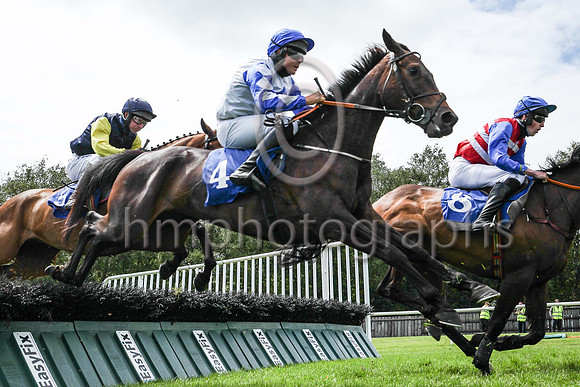 02nd Game Catch  ( 4 , white, blue diamond ) Trainer - Paul Power , Owner - Mrs B Power