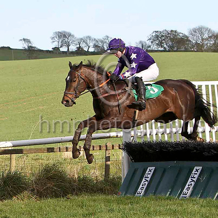 Notnowlove & Mr J C Barry - 8th (5, purple, white star) - FT8E3333-e2