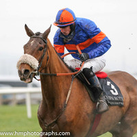 2014/12/26th - Race 1 at Down Royal on Boxing Day