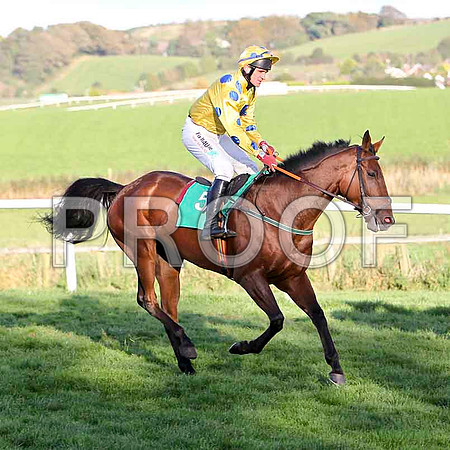 Lets Go Sunshine , Jockey J L Cullen - Winner - CU2D9398-e