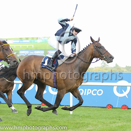 01 Fiesolana and W J Lee - - 01st (1 ,dark Blue, light blue cross sashes ) Trainer - W McCreery
