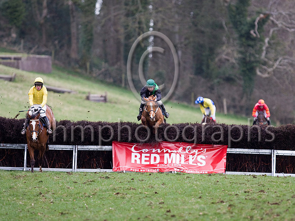Fourth Race - Nanos Witness 1st, Rowdy Exit 2nd,  Ruby Ruby Rubay 4th,Oh Jackie 3rd - _MG_5005-e3a4j