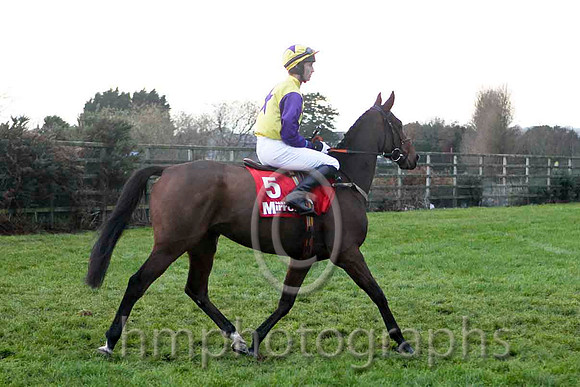 Open Up Your Heart, Jockey Mr J C barry - 8th - FT8E4908-e
