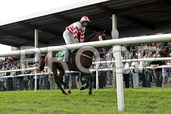 Blue Magneto crosses the line in 8th place, Jockey Mr N T Slevin - FT8E3088-e