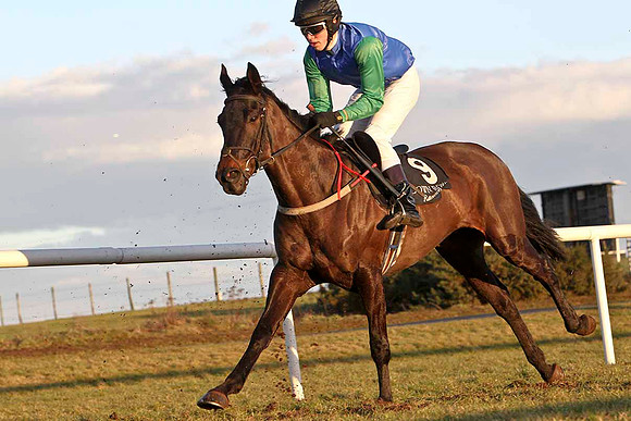 Whorisky 16th, Jockey Mr M Watson - FT8E9996-e