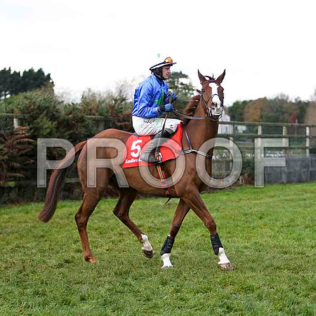 Apt approach , Jockey P Townend - 5th - CU2D1179-e