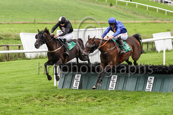 01st Give Him Time and D N Russell ( 5 , blue, yellow stags head ) Trainer - G Elliott , Owner - Gordon Elliott