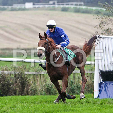 Castle Ranger , Winner - Jockey Mr M J O'Connor - FT8E5285-e