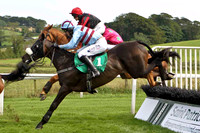 Donegal (1) 6th JOckey Andrew J McNamara , Turner Brown - winner, JOckey Ms K Walsh & Izand and Affair 9th, Jockey E J O'Connell- FT8E3001-e