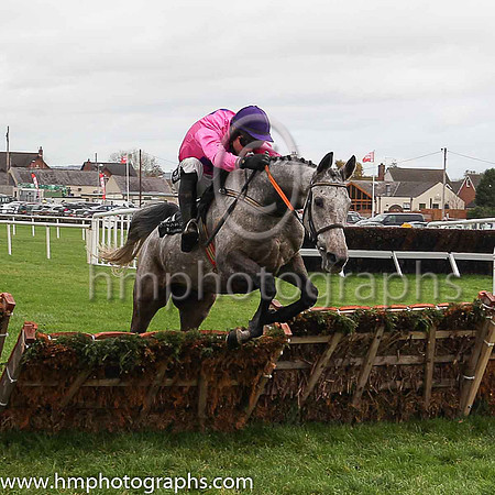 08th Macs Bach and P T Enright ( 3 , white, red spots ) Trainer - Ms M Flynn , Owner - Santry Power Walsh Syndicate
