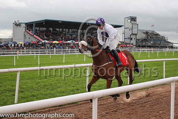 04th My Manekineko and P Townend ( 1 , white, purple disc ) Trainer - J Nash , Owner - Ka Hon Tham