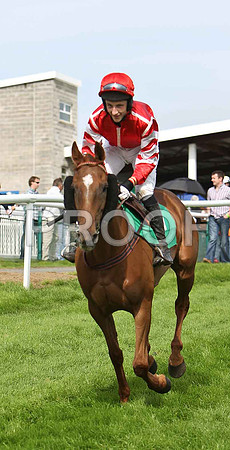 LAdy Benmear 10th, Jockey E J O'Connell - CU2D1747-e