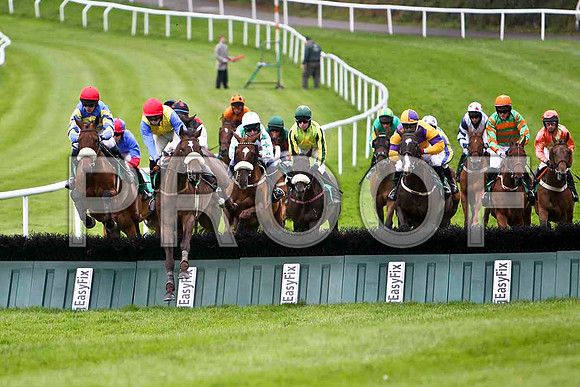 The first hurdle, High Talk in the lead, 5th, Jockey P D Kennedy - CU2D0914-e