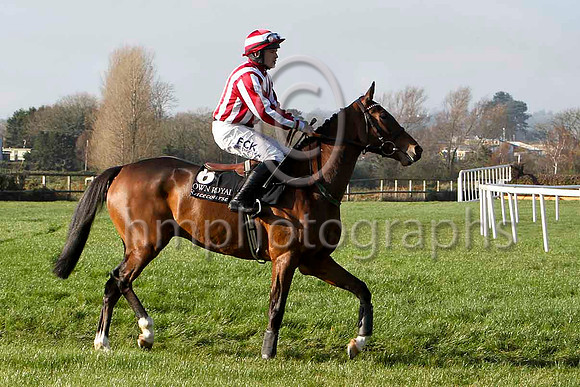 Wilde Rebel - PU, Jockey - R C Colgan - FT8E6860-e