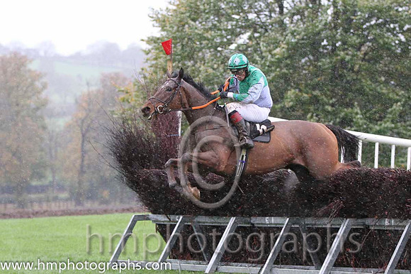 16 Count Massini & D A Treacy - PU (12, emerald green and mauve qtrd) - FT8E9508-13