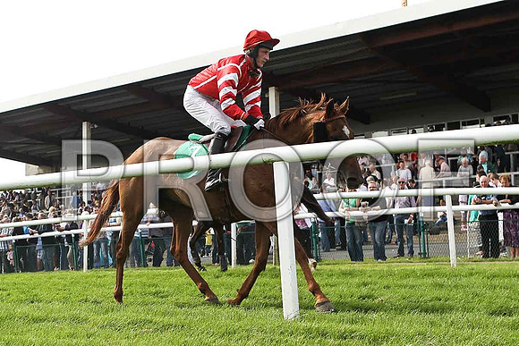 Lady Benmear crosses the line in 10th place, Jockey E J McConell- FT8E3093-e