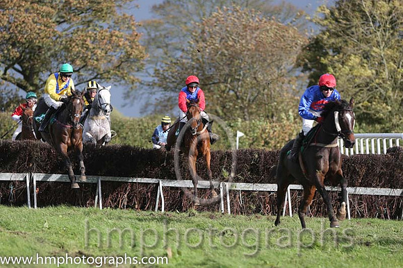 04 BetheHolyMan and R Deegan - - 04th (4 ,royal blue, red chevron ) Trainer - Anna Gaul
