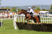 03rd King?s War and M F Mooney ( 12 , lavender ) Trainer - P Mooney , Owner - Helen M Mooney