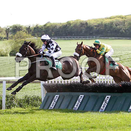 Croi Laidor , 8th, Jockey A P Thornton - FT8E2867-e