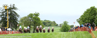 2014/05/17th  - Race 6 The Fermanagh Harriers Hunt Point to Point at Necarne