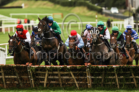 2nd Delayed Eloquence and S A Shortall ( 9 , royal blue and emerald green qtrd ) Trainer - Joseph P O''Brien , Owner - J J Power