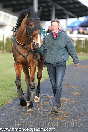 Race 6 2nd - James (IRE) (1 ) Jockey: Mr M J Lynch (7) - Trainer: I R Ferguson - blue: Light blue epaulettes