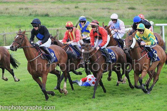 ur Porky Rush (9 , white, red spots ) Jockey: Mr J P Kirwan7 , Trainer: Ms M Flynn