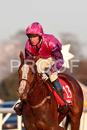 Cabra Cruizor - 13th , Jockey Mr J T Carroll - CU2D0006-e